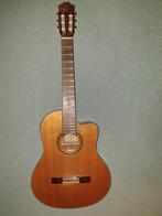 Twee gitaren in één koop, Muziek en Instrumenten, Snaarinstrumenten | Gitaren | Akoestisch, Ophalen, Gebruikt, Klassieke of Spaanse gitaar