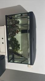 80 L aquarium., Dieren en Toebehoren, Vissen | Aquaria en Toebehoren, Ophalen of Verzenden, Zo goed als nieuw, Leeg aquarium