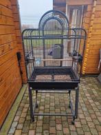 Nog een hele mooie papagaaien kooi., Dieren en Toebehoren, Vogels | Hokken en Kooien, Ophalen of Verzenden, Metaal, Vogelkooi