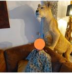 Leeuwin ,taxidermie, taxidermy,  leeuw unieke pose, Verzamelen, Dierenverzamelingen, Ophalen, Zo goed als nieuw, Opgezet dier