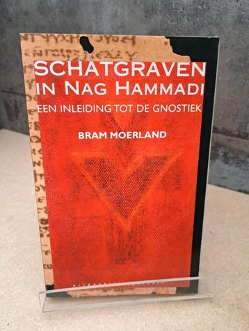 Schatgraven in Nag Hammadi - een inleiding tot de Gnostiek