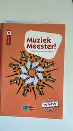 Rinze van der Lei - Muziek Meester!, Rinze van der Lei; Lieuwe Noordam; Frans Haverkort, Ophalen of Verzenden, Zo goed als nieuw