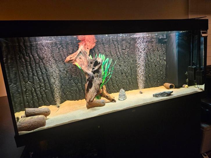 Moet weg!! Juwel Rio450 met Aquael hypermax 4500, Dieren en Toebehoren, Vissen | Aquaria en Toebehoren, Zo goed als nieuw, Leeg aquarium