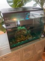 Fluval flex aquarium 57L with starter kit and food, Ophalen, Zo goed als nieuw, Leeg aquarium