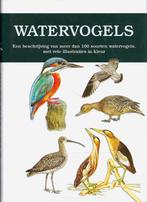 BOEK WATERVOGELS MEER DAN 100 SOORTEN., Ophalen of Verzenden, Nieuw, Overige typen