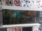 Complete aquarium 200L €100, Dieren en Toebehoren, Zo goed als nieuw, Ophalen, Gevuld zoetwateraquarium