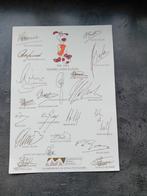 Blad met handtekeningen van de voetballers van het Nederland, Verzamelen, Sportartikelen en Voetbal, Ophalen, Gebruikt, Overige typen