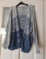 Vest, Ophalen of Verzenden, Zo goed als nieuw, Maat 42/44 (L), Blauw