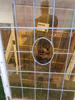 glas in lood, Doe-het-zelf en Verbouw, Glas en Ramen, Gebruikt, Minder dan 80 cm, Ophalen of Verzenden, Minder dan 80 cm