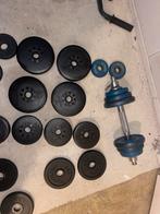 Halterset met schijven en stangen, Sport en Fitness, Ophalen, Gebruikt, Armen, Halterset