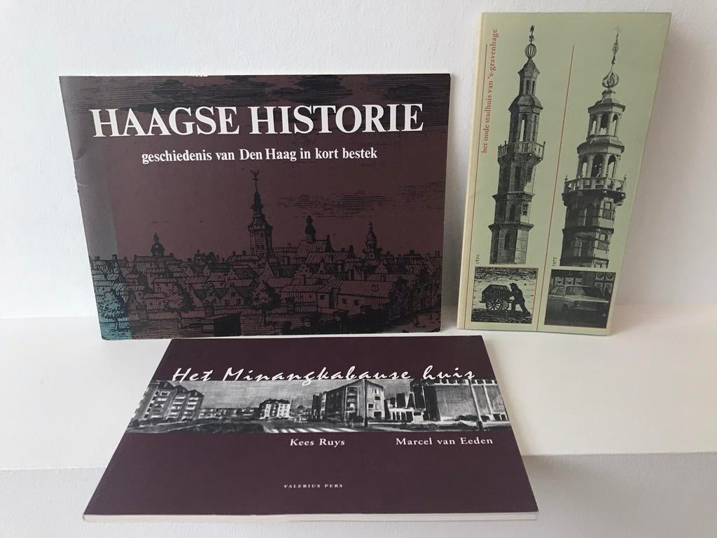Haagsche Historie / Het stadhuis, Ophalen of Verzenden, Gelezen