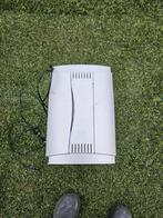 Aquarium, Dieren en Toebehoren, Vissen | Aquariumvissen