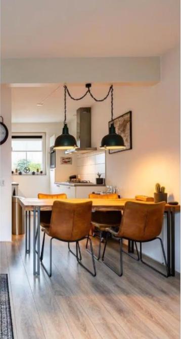 Fabriekslampen/hanglampen💡 - industrieel/vintage - dimbaar beschikbaar voor biedingen