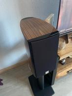 Dali Epicon 2 met stands, Audio, Tv en Foto, Luidsprekers, Zo goed als nieuw, 120 watt of meer, Front, Rear of Stereo speakers