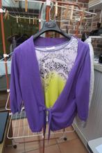 Twinset paars geel Nice Connection mt 42, Kleding | Dames, Nice Connection, Paars, Maat 42/44 (L), Ophalen of Verzenden