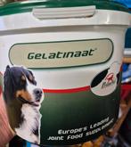 Gelatinaat honden 2kg, Ophalen of Verzenden