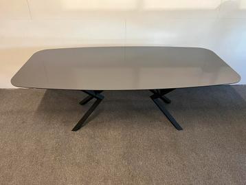 Deens ovale eettafel HPL glans grijs 220x105 beschikbaar voor biedingen