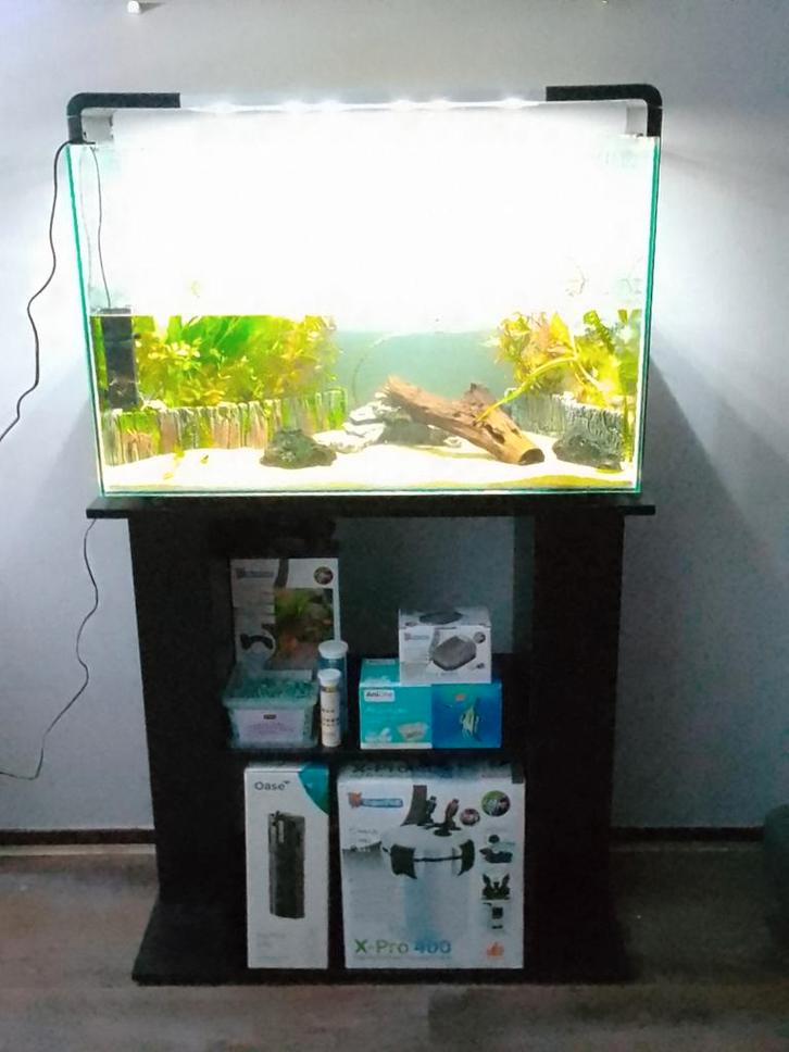 Compleet SuperFish Home 110 (110 liter ), Dieren en Toebehoren, Vissen | Aquaria en Toebehoren, Zo goed als nieuw, Gevuld zoetwateraquarium
