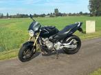 Honda CB 600 F Hornet CB600F, Motoren, Motoren | Honda, 4 cilinders, Motorrijbewijs A, Particulier, Meer dan 35 kW