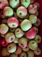 Appels en peren 1.50 per kilo (onbespoten), Ophalen