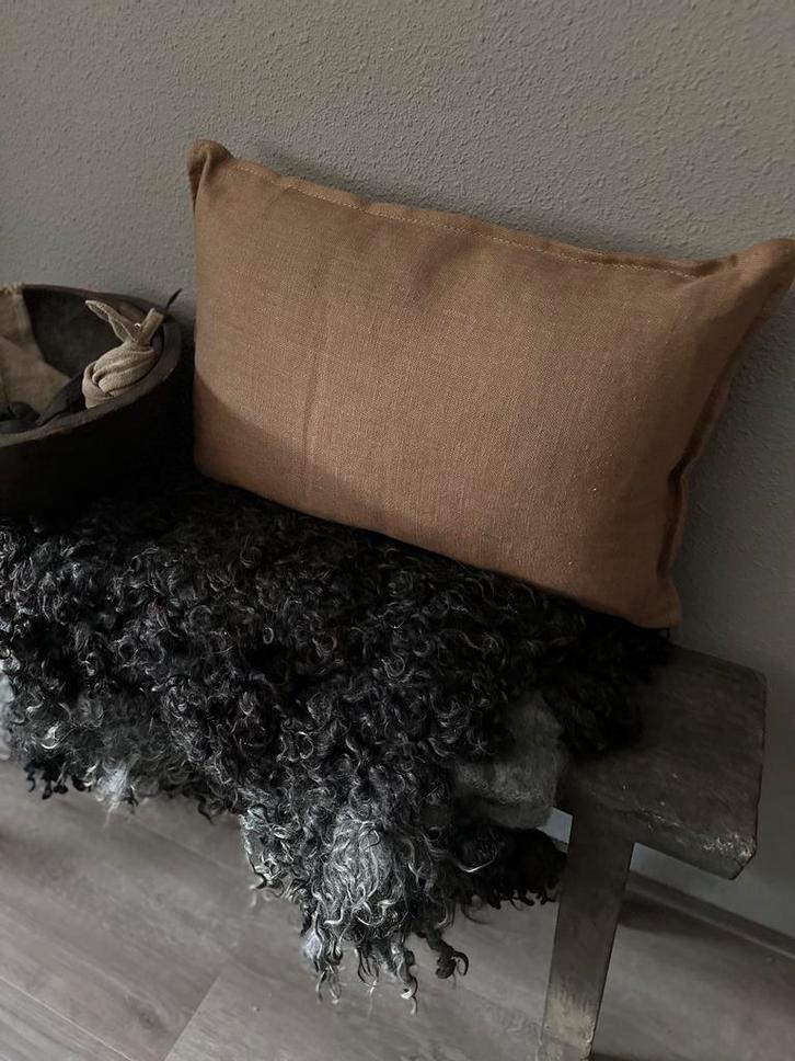 Sier kussens Aura `Peeperkorn SALE, Huis en Inrichting, Woonaccessoires | Kussens, Ophalen of Verzenden