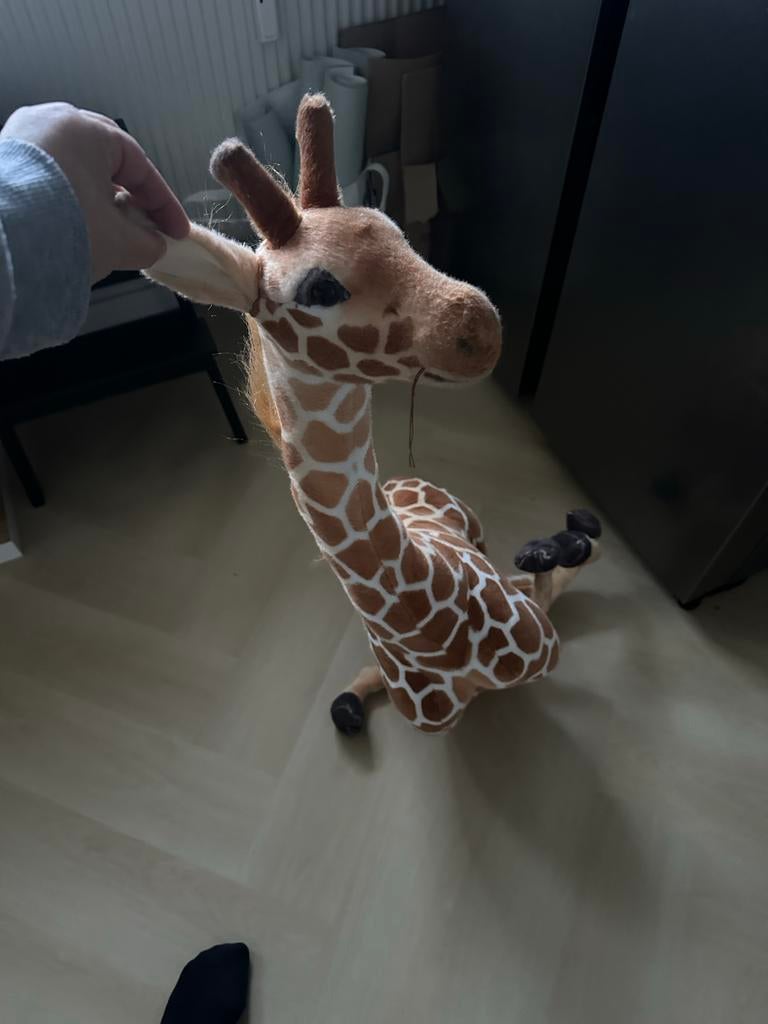 Leuke pluche giraffe, Ophalen, Gebruikt, Overige typen