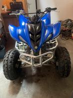 Yamaha 350 raptor, Motoren, 350 cc
