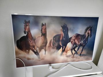 Warmtepaneel - Paardenprint - 600W beschikbaar voor biedingen