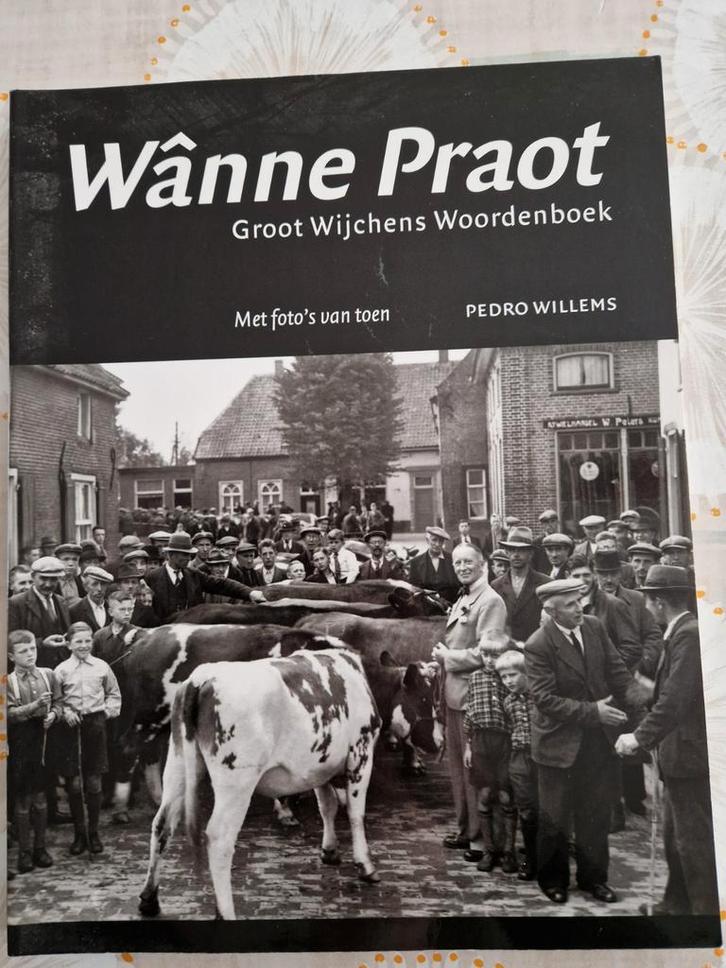 Wânne Praot - Wijchens Woordenboek, Boeken, Woordenboeken, Zo goed als nieuw, Nederlands, Overige uitgevers, Ophalen of Verzenden
