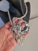 Vintage ketting met draakje hanger, Ophalen of Verzenden, Zo goed als nieuw, Zilver, Overige materialen