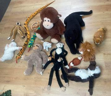 Jungle decoratie beschikbaar voor biedingen
