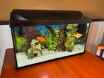 Tetra, 100 liter aquarium., Dieren en Toebehoren, Vissen | Aquaria en Toebehoren, Ophalen, Leeg aquarium