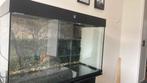 Grote aquarium tekoop met lamp en filter, Dieren en Toebehoren, Ophalen, Zo goed als nieuw