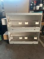 Kweekkooi, Dieren en Toebehoren, Ophalen of Verzenden, Gebruikt, Hout, Broedkooi of Kweekkooi