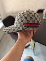 Gucci Pet ((Maat S & M)) ((Nieuw!)) ((Meerdere Modellen!!)), Nieuw, Ophalen of Verzenden, Gucci, Pet