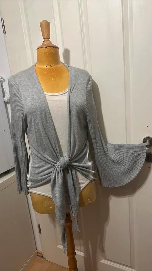 Monari vest maat 44, Kleding | Dames, Truien en Vesten, Nieuw, Maat 42/44 (L), Grijs, Ophalen of Verzenden