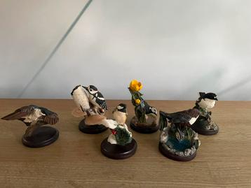 Prachtige collectie gevederde vrienden 2004 beschikbaar voor biedingen