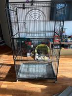 Ratten/fretten kooi te koop, Ophalen, Kooi, Zo goed als nieuw, 90 cm of meer