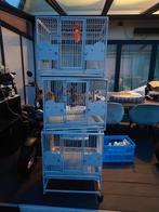 Triple kooi van het merk STRONG, Dieren en Toebehoren, Ophalen of Verzenden, Zo goed als nieuw, Metaal, Vogelkooi