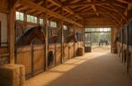 Te huur Pensionstalling met ruime boxen  – regio Weert, Weidegang, 4 paarden of pony's of meer