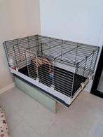 Caviakooi incl accessoires, brokjes, bodembedekking, Dieren en Toebehoren, Kooi, Zo goed als nieuw, 75 tot 110 cm, Cavia