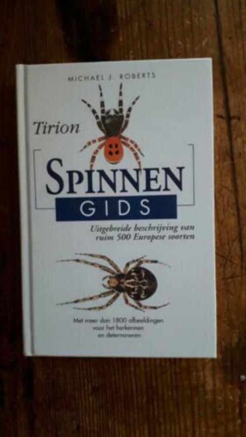 Tirion Spinnengids , ruim 500 soorten . Michael J. Roberts, Boeken, Natuur, Zo goed als nieuw, Ophalen of Verzenden