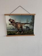 Schoolplaat tijd dinosaurussen, Antiek en Kunst, Ophalen, Natuur en Biologie