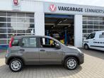Fiat Panda 1.0 Hybrid, Voorwielaandrijving, 12 maanden, Gebruikt, Zwart