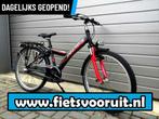 Nette Pegasus Free n3 24 inch Jongensfiets(Batavus Snake)
