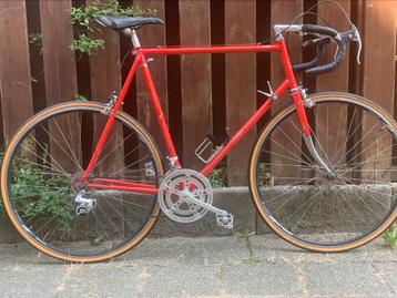 Vintage racefiets Raleigh 1979 beschikbaar voor biedingen
