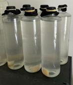 Flessen azijnaaltjes, top voer voor alle baby visjes, Ophalen, Zo goed als nieuw, Overige typen