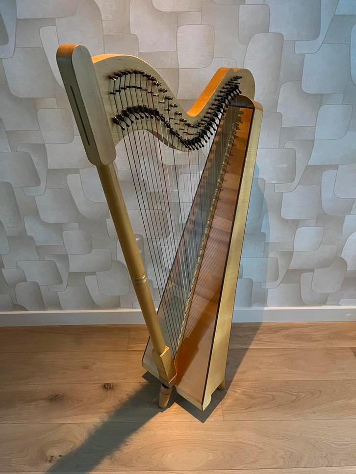 Haakjes Harp - Hans den Brok (33 snaren), Muziek en Instrumenten, Snaarinstrumenten | Harpen, Zo goed als nieuw, Ophalen