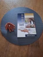 Bijbels Dagboek voor Jongeren, Ophalen of Verzenden, Nieuw, Diverse auteurs, Christendom | Protestants