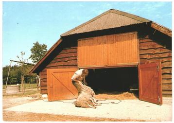908712 st Anthonis schaapskooi N Br Schaapskooi gelopen beschikbaar voor biedingen